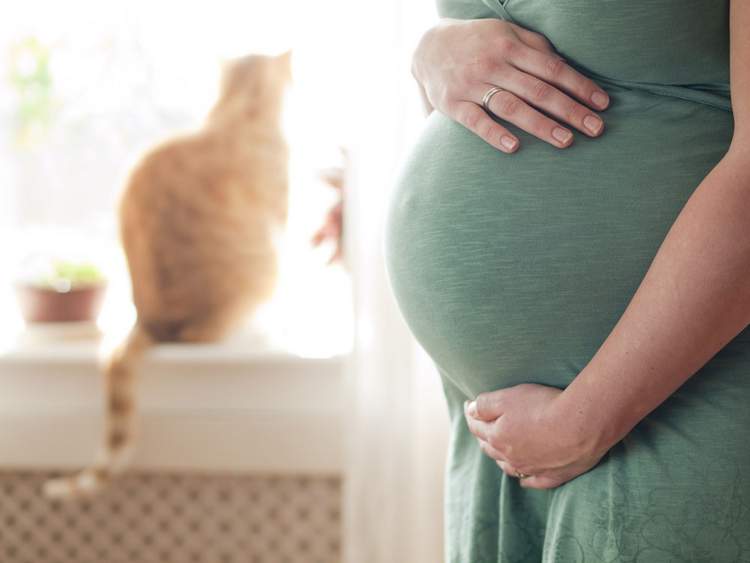 Babybauch